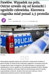 Alkohol w pracy.