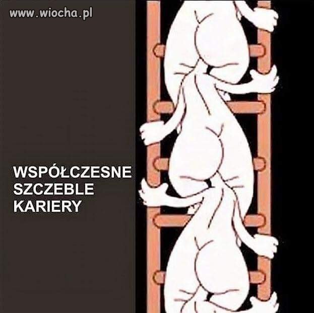 Niestety w dzisiejszych czasach