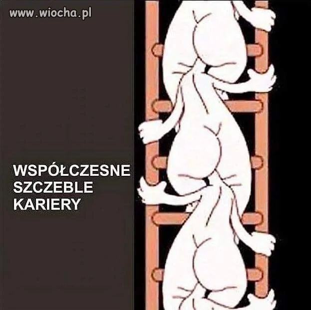 Niestety w dzisiejszych czasach