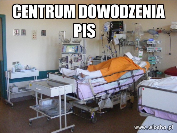Silny przywódca 