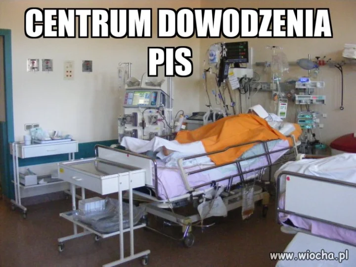 Silny przywódca 