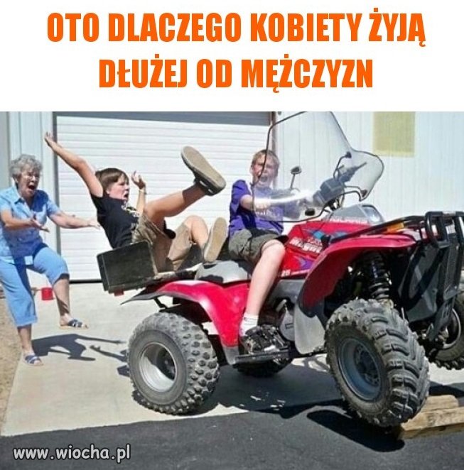 Ponieważ facet ryzykuje dla tych istot życie i pieniądze 