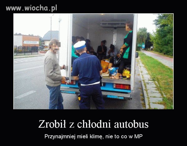 Pomysłowy Dobromir