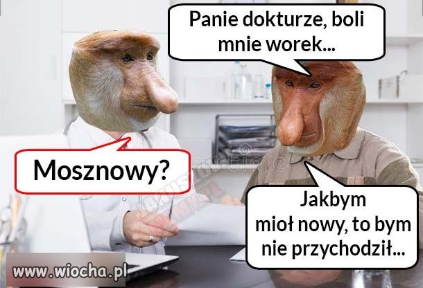 Worek