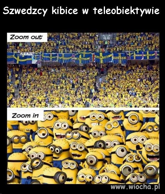 Szwedzcy kibice