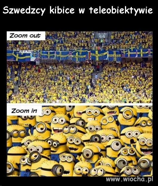 Szwedzcy kibice