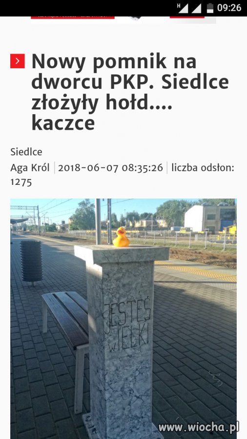 Jesteś wielki