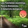 No i jeszcze
