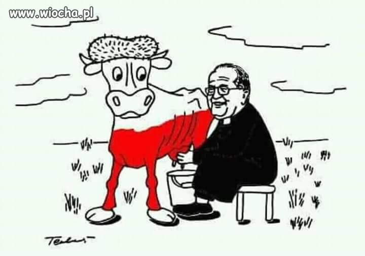 Ojciec w akcji 