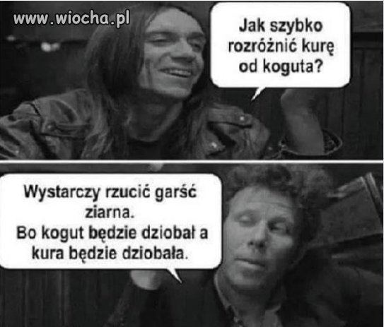 ...i zagadka szybko rozwiązana 