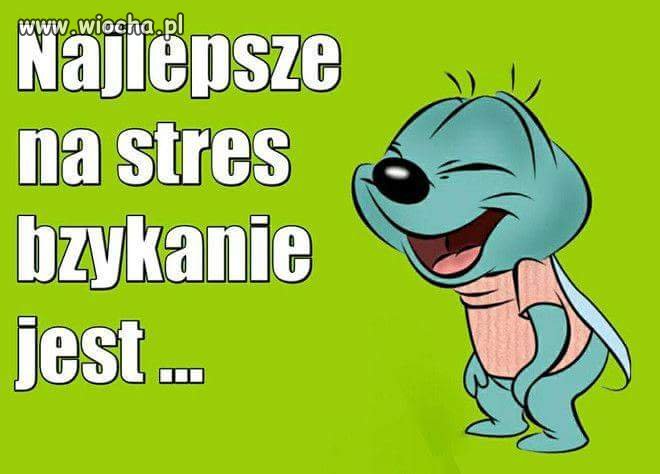 Bzyk