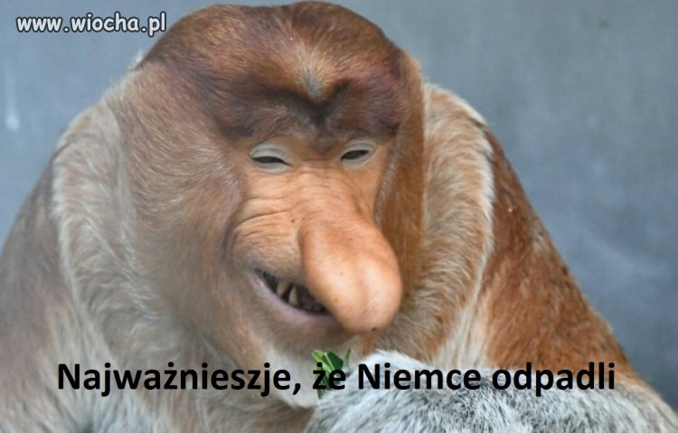 We wszystkich polskich domach
