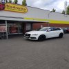 Mam Audi, jestem inwalidą umysłowym