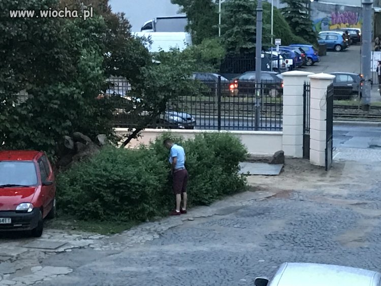Środek dnia i samo centrum miasta.