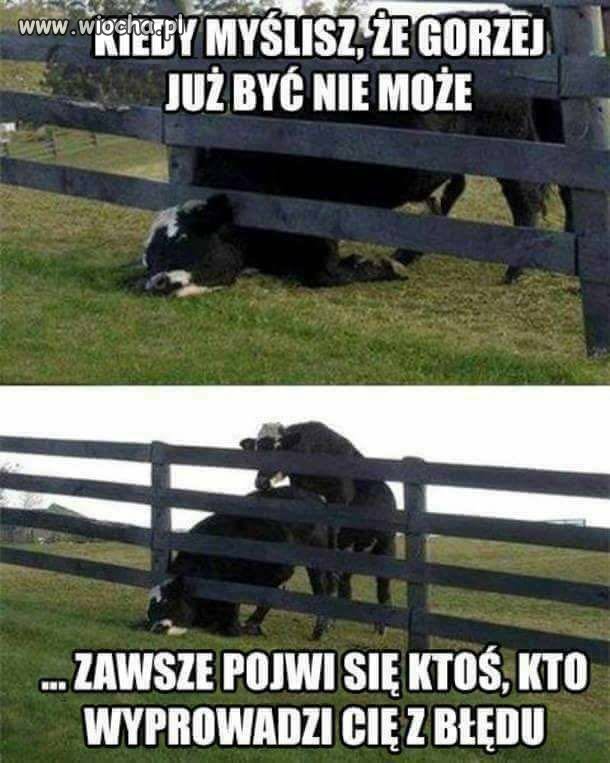 Po prostu życie