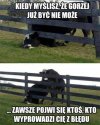 Po prostu życie