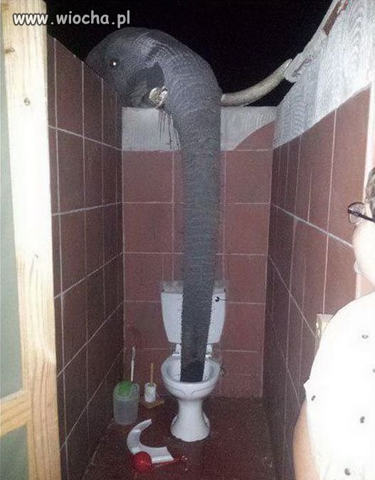 Kiedy się upiłeś ubiegłej nocy ...