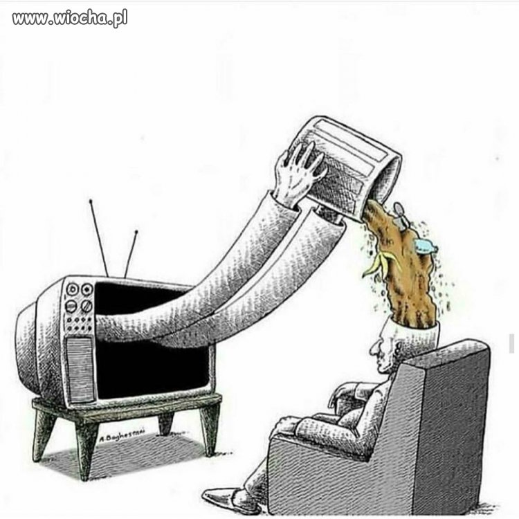 Wiadomości w TVPis 