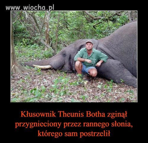 Bez komentarza 