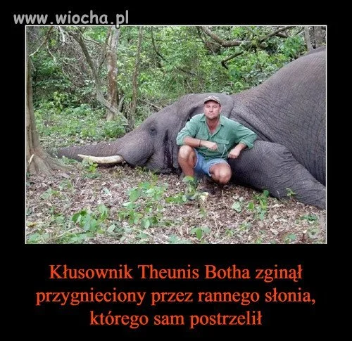 Bez komentarza 