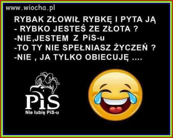 Złota rybka