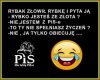 Złota rybka