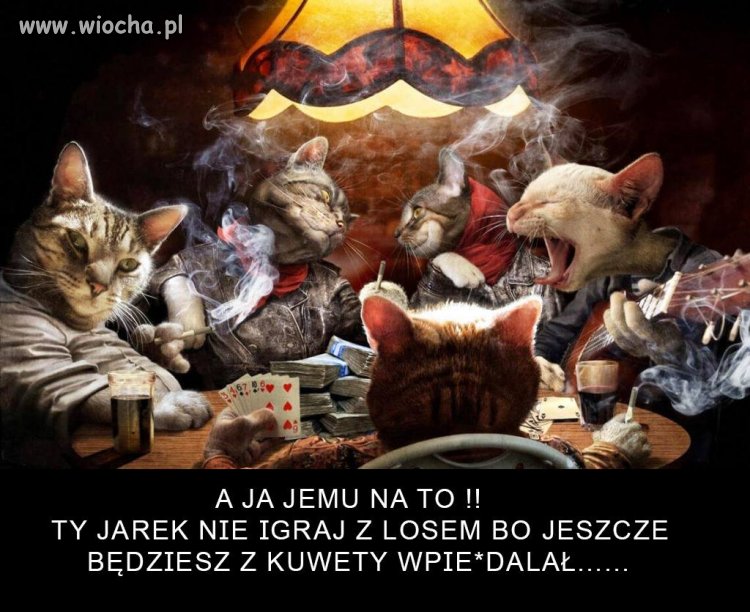 Gdy prezesa nie ma w domu