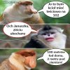 Zińciuniu mój ty ukochany...