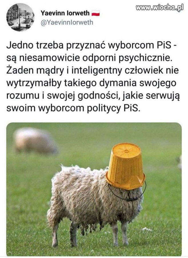 Komentarz zbędny
