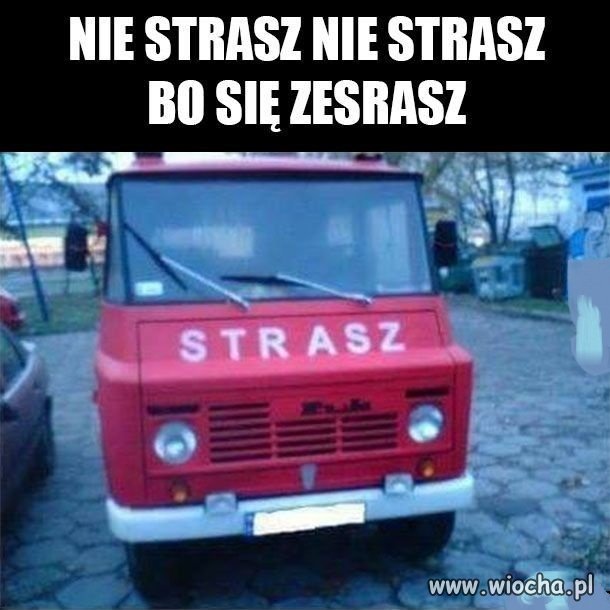 Czerwony żuk