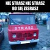 Czerwony żuk