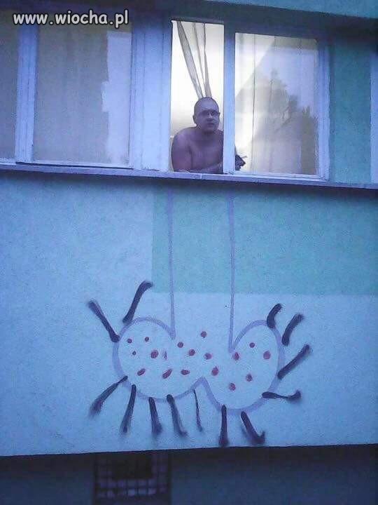 Seeebaaa!!! Wyjrzyj przez oknooo!!!
