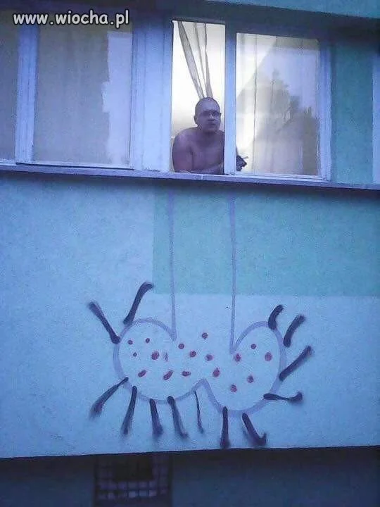 Seeebaaa!!! Wyjrzyj przez oknooo!!!