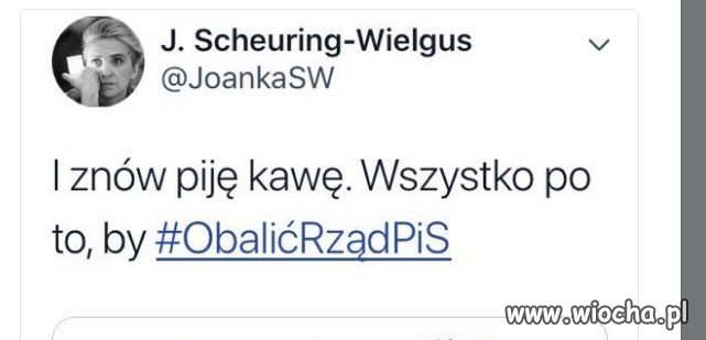Wrzucam 
