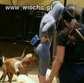 Pachnie dobrze.