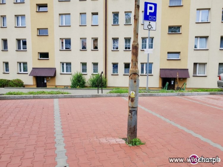 Ciężkie życie w Limanowej