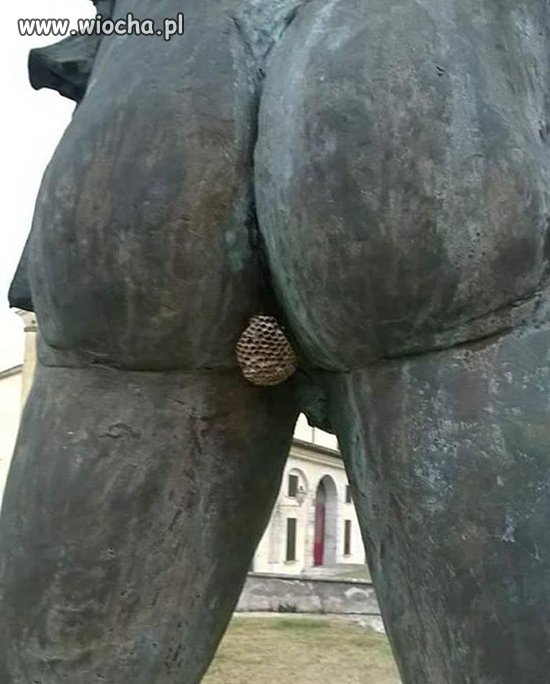 Skąd się bierze miód