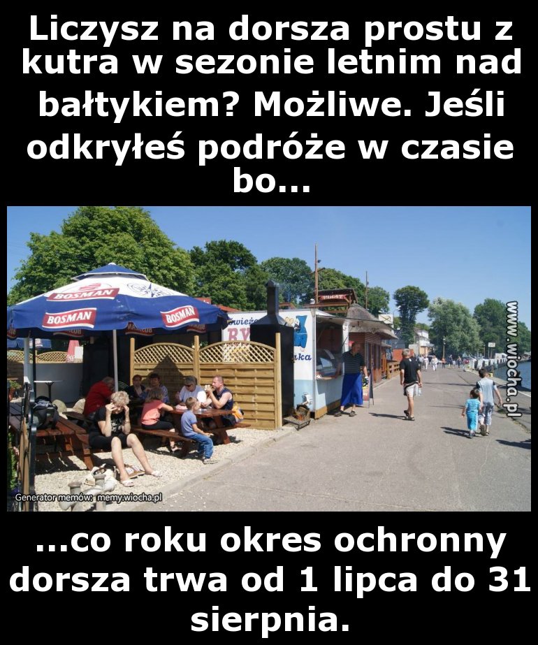 Liczysz na dorsza prostu z kutra w sezonie letnim
