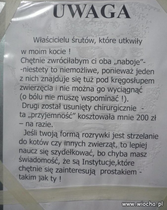 Wiadomość