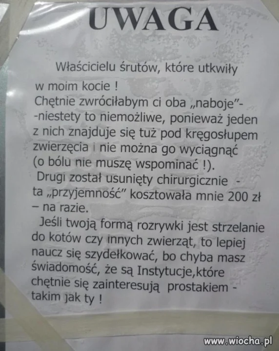 Wiadomość