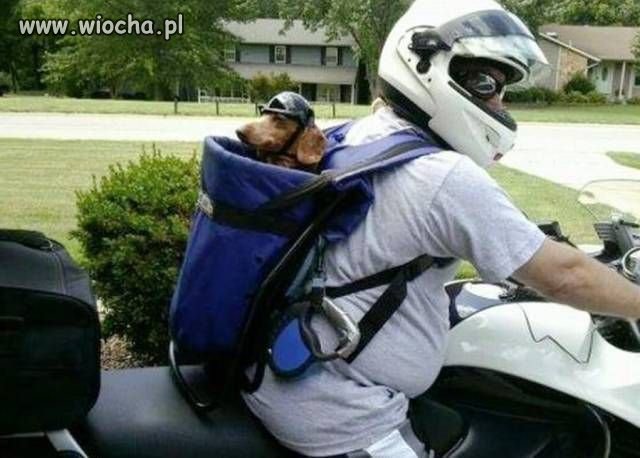 Motocykliści.