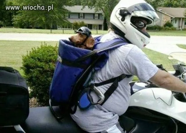 Motocykliści.