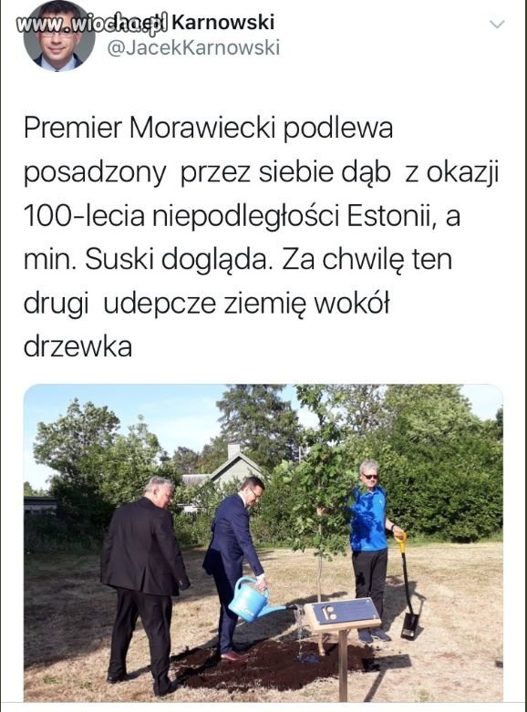 Wazelina poziom ekspert
