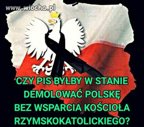 Na pewno nie. 