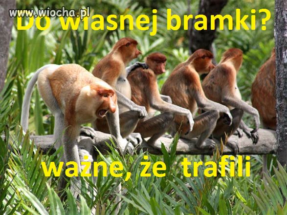 Gol to gol - więcej spodziewać się nie można