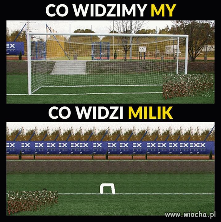 Niestety