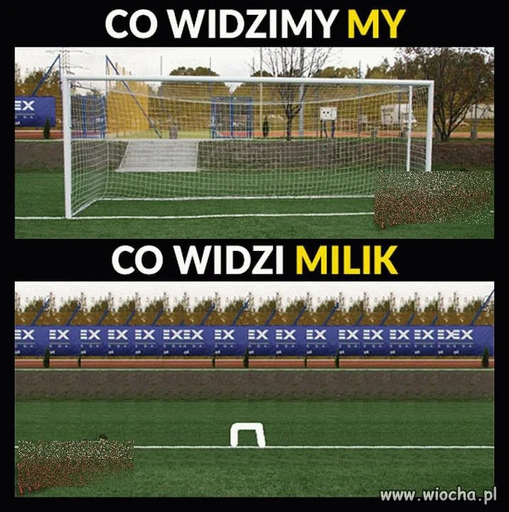 Niestety