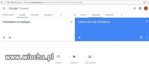 Wujek Google