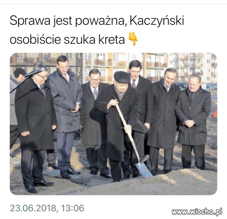 W poszukiwaniu kreta
