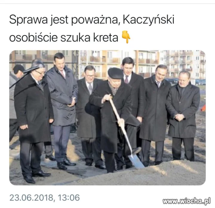 W poszukiwaniu kreta
